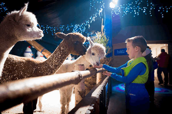 Santa's animal friends