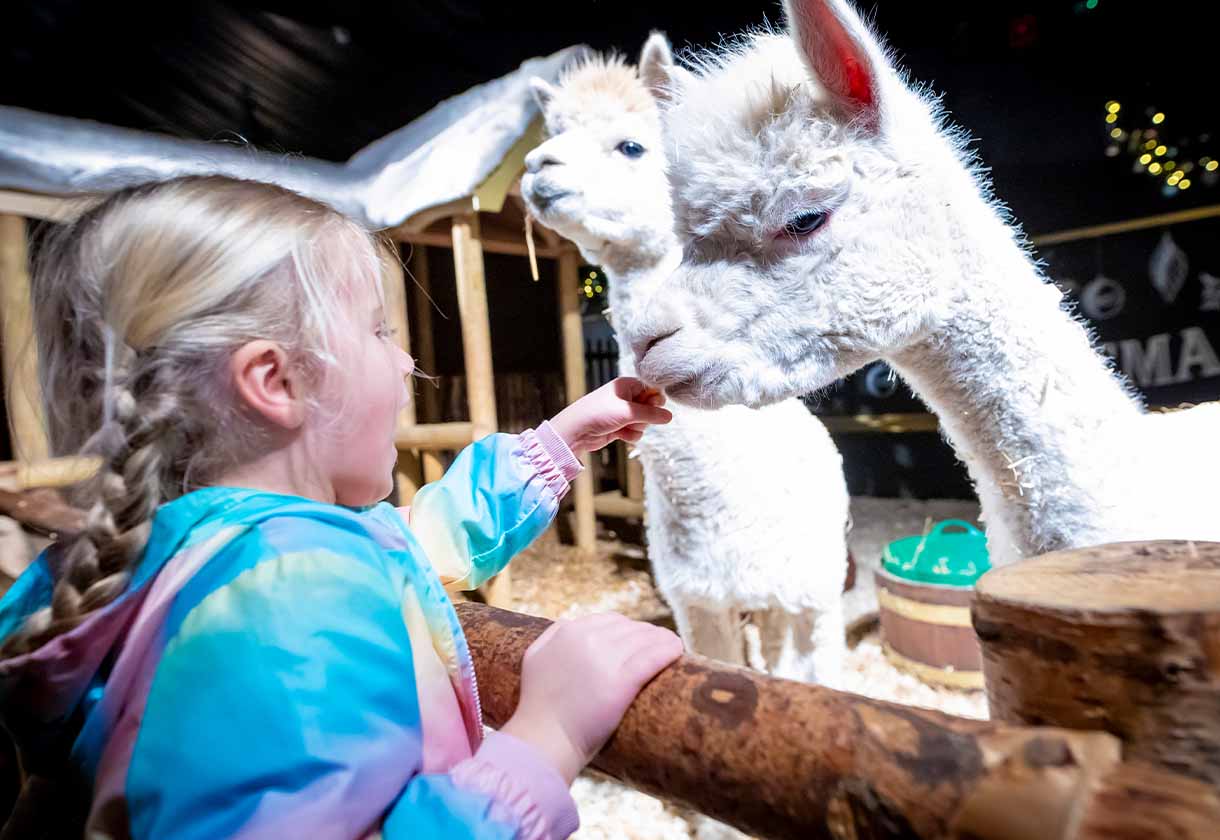 Media